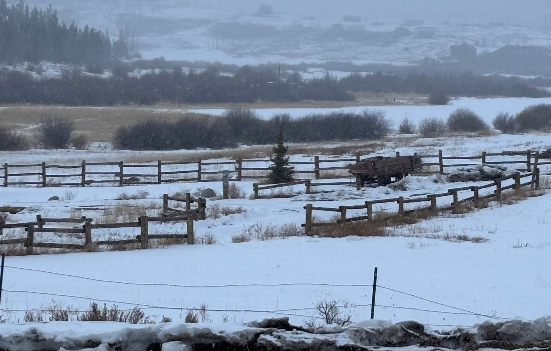 Merry Christmas from the Colorado Rockies!